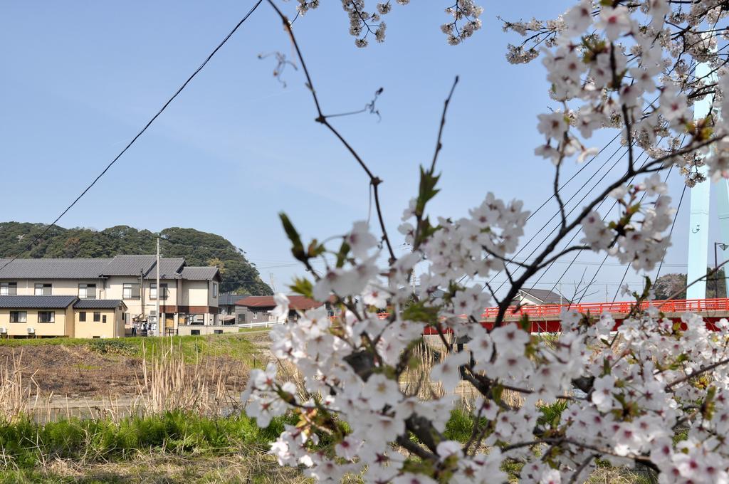 Satsuhana Kami (Hyogo) Bagian luar foto